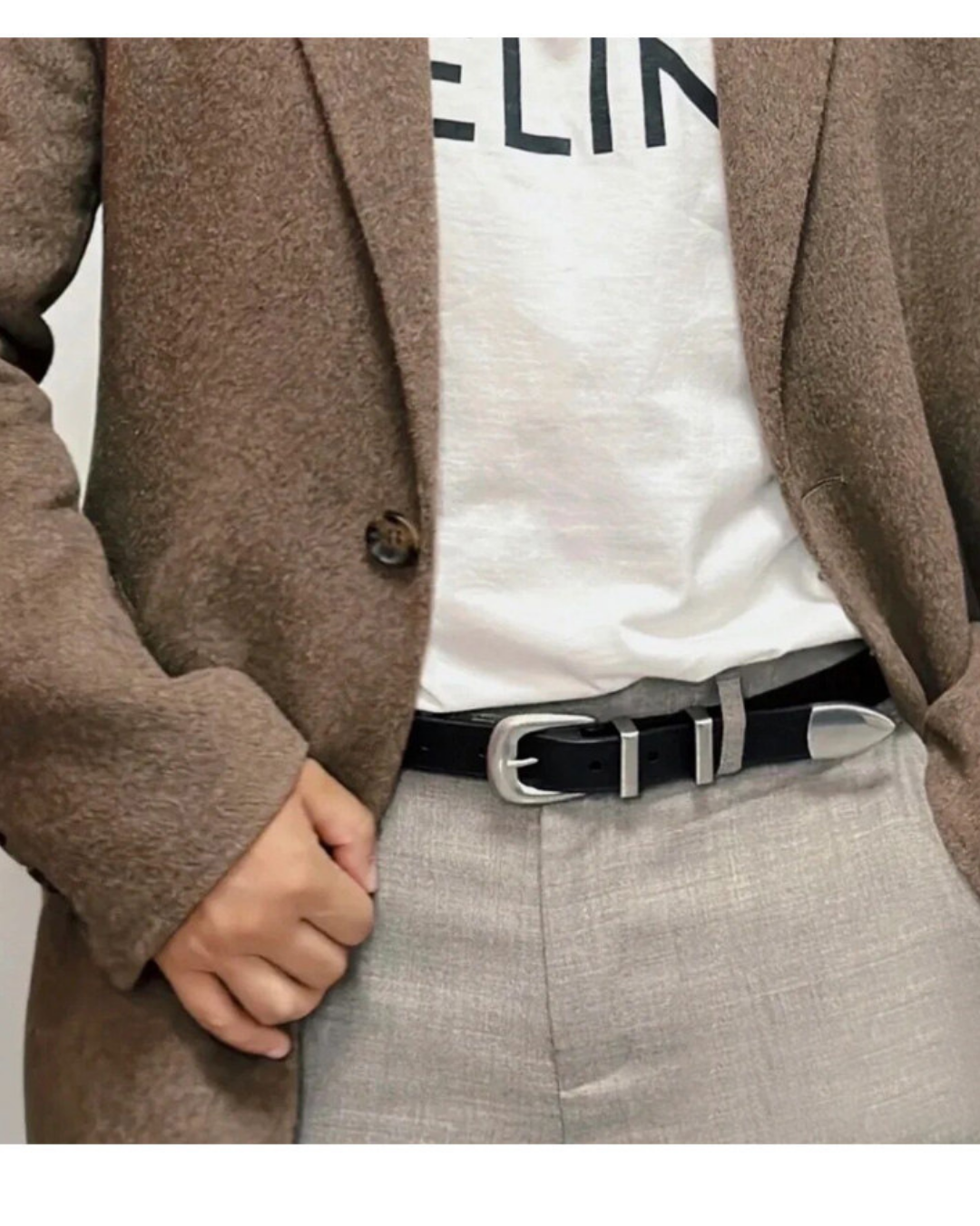 Clean belt