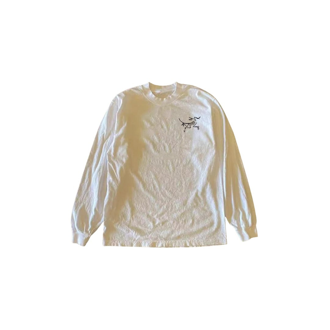 Arc Teryx shirt