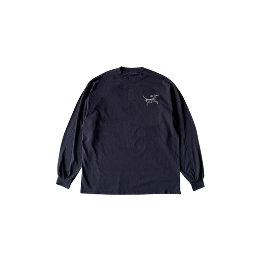 Arc Teryx shirt